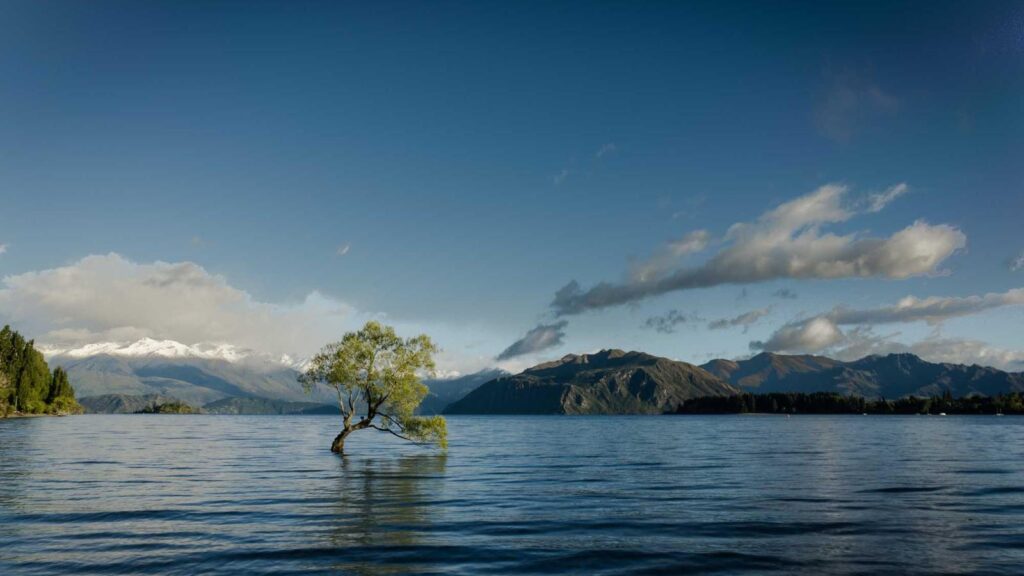都立家政駅 カフェ 利用シーン別に見る都立家政駅のカフェ選び