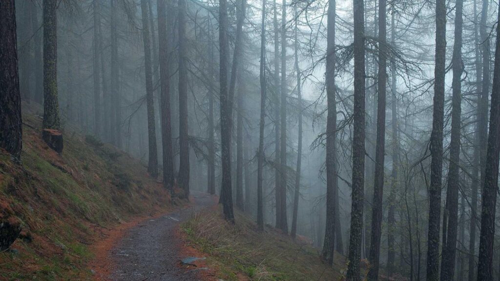 勝どき駅 居酒屋 天串にしおか