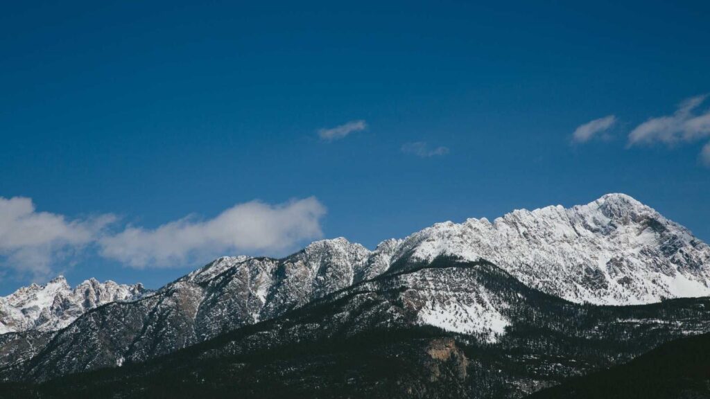 熊野前駅 居酒屋 くるまだ