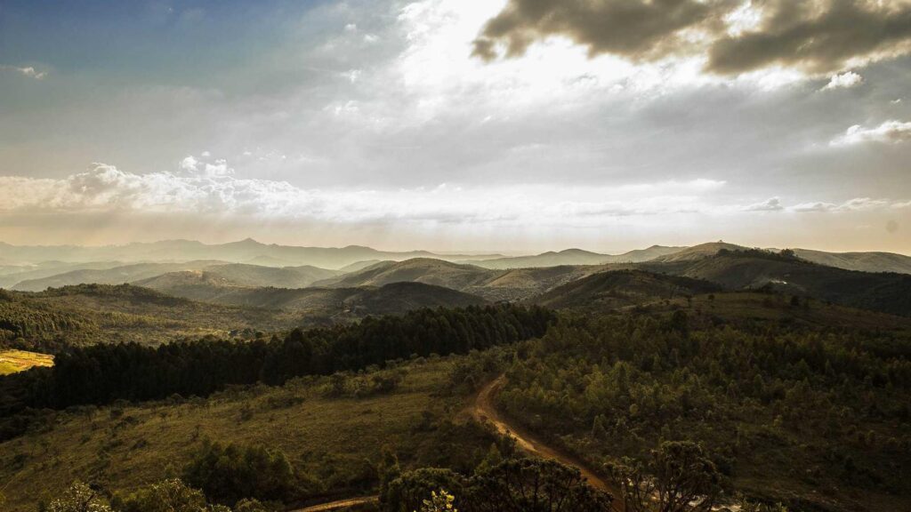 中河原駅 カフェ cafe GARDEN