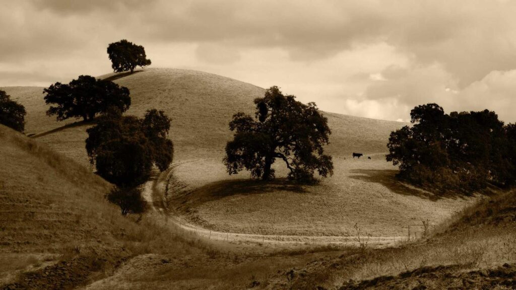 ポケットWiFi 比較 安い 100GBプランでおすすめの安いポケットWiFiは？