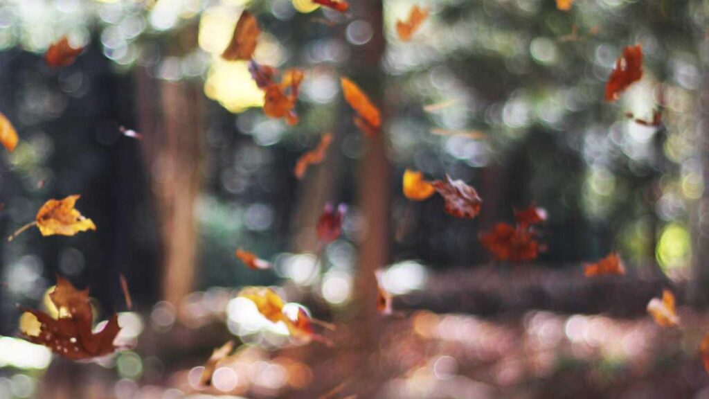 牛田駅 ラーメン ラーメン店選びのポイント