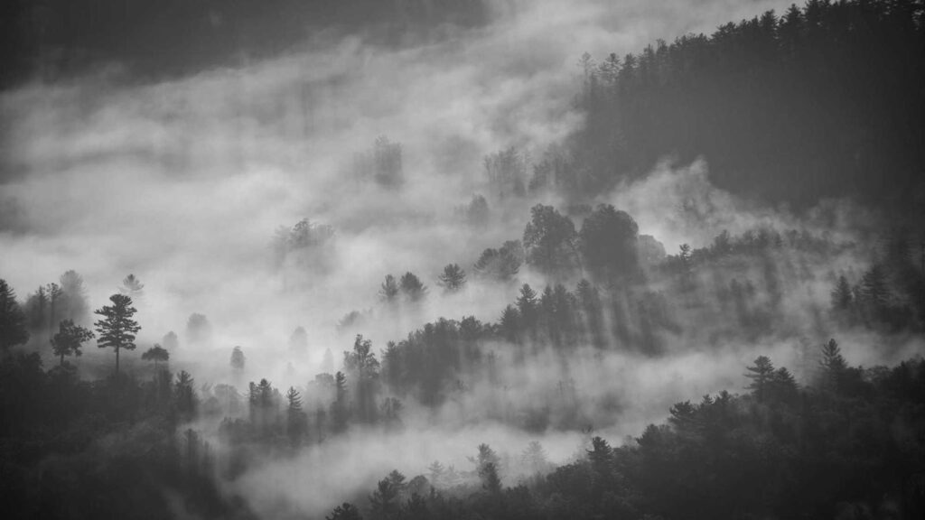 亀有駅 ラーメン まとめ