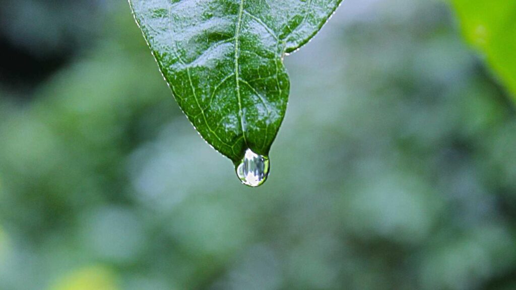 市ケ谷駅 ラーメン 東京油組総本店 市ヶ谷組