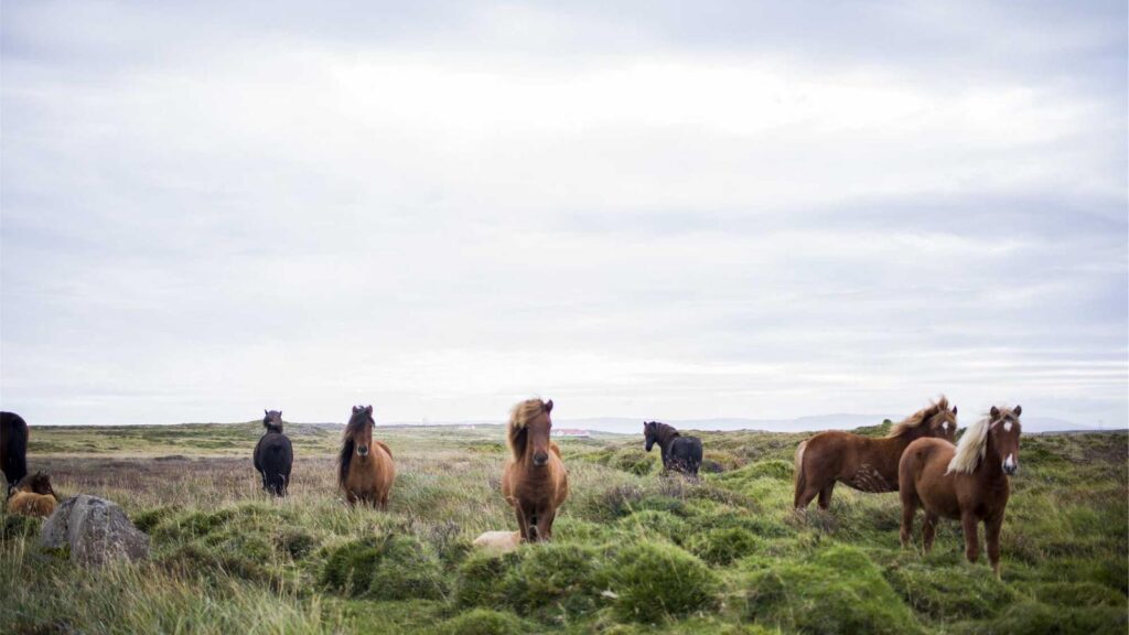 片倉駅 居酒屋 サイゼリヤ 八王子みなみ野駅前店