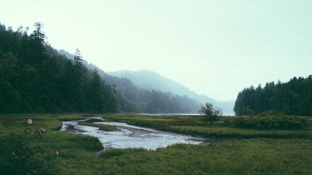 美容家電 おすすめ 安い 安い美容家電のメリットとデメリットは？