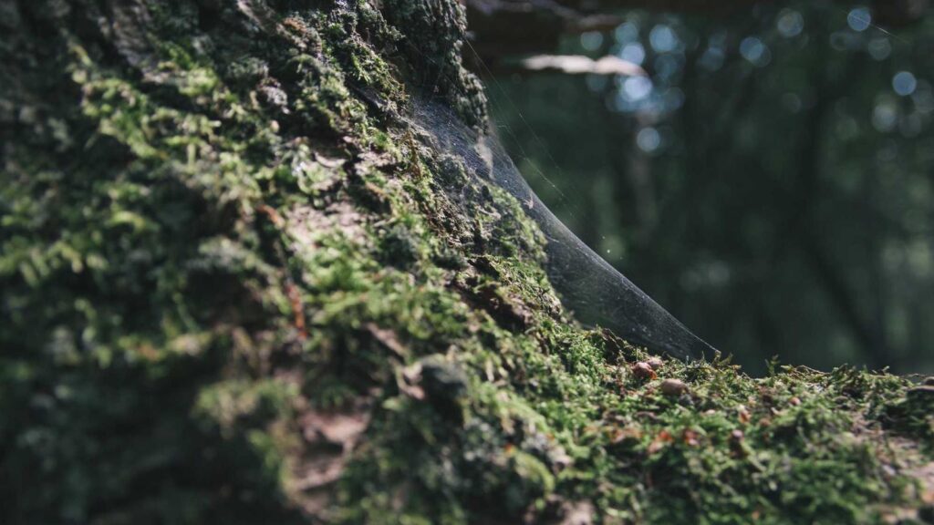 清滝駅 居酒屋 まとめ