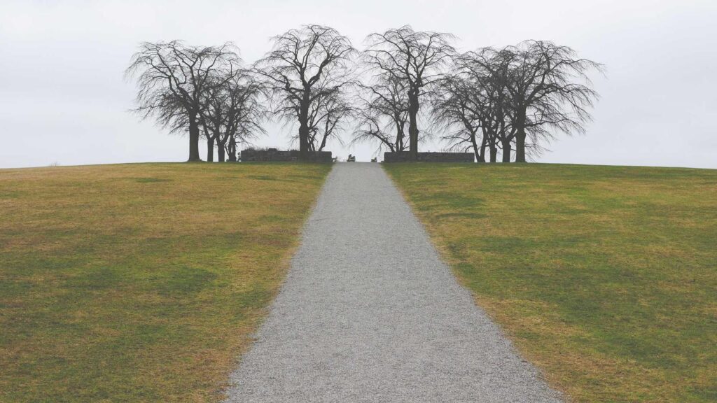 亀有駅 ラーメン ひむろ 亀有店