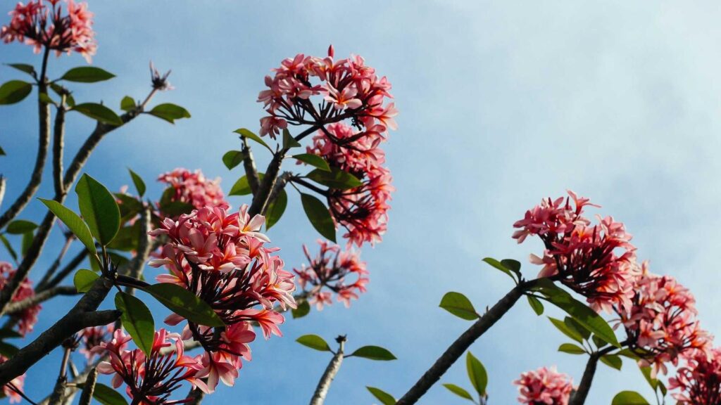 格安SIM 比較 ランキング 格安SIMの通話品質はどうですか？