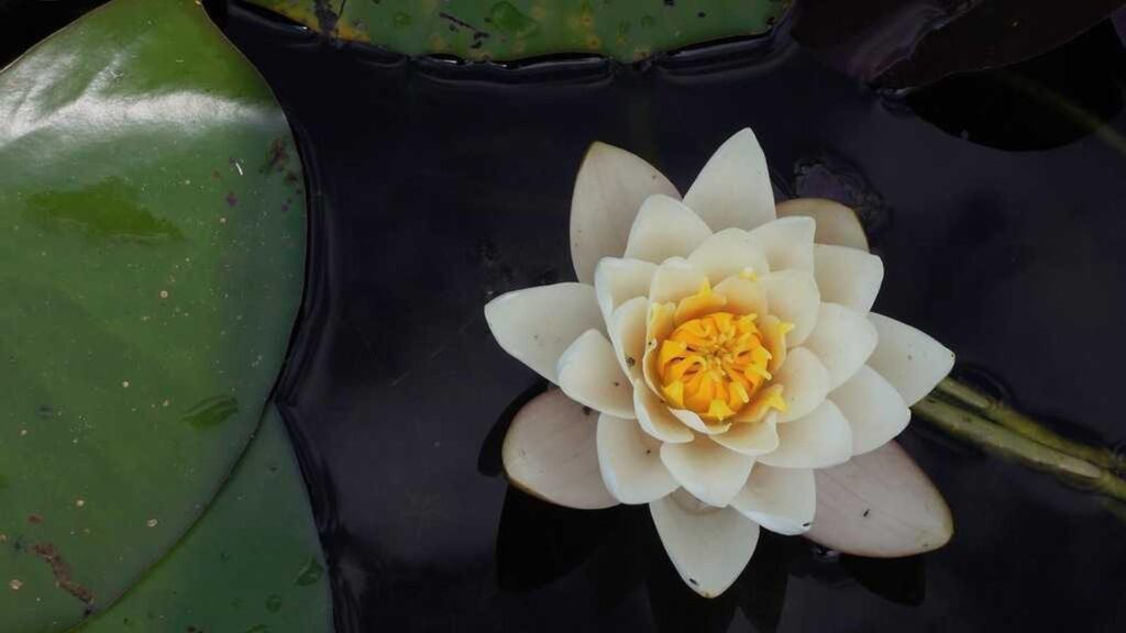 流通センター駅 ランチ 用途別に選ぶ流通センター駅ランチのポイント