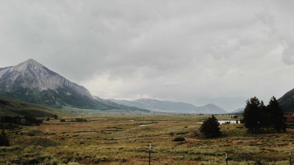 有楽町 居酒屋 デート 3. バーデンバーデン