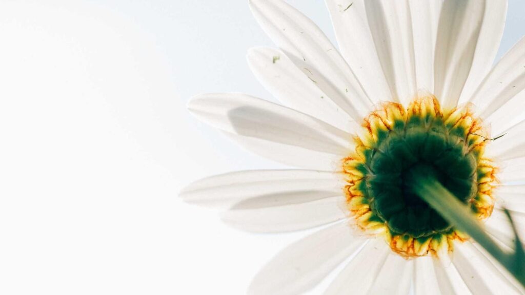 電力会社 乗り換え 手続き 電力会社を乗り換える最適なタイミングはいつか？