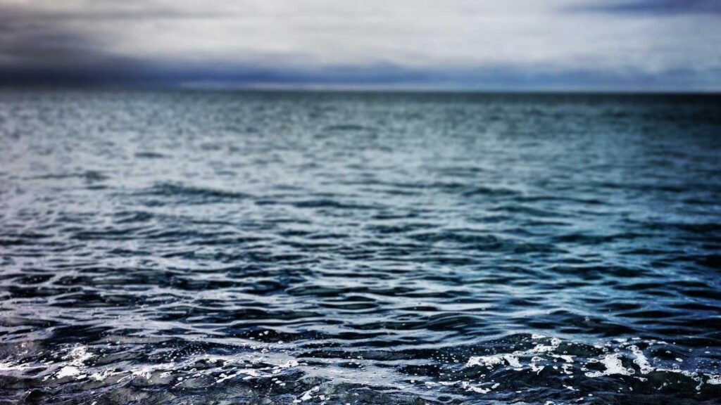 南新宿駅 ランチ 4. 椿屋茶房 タカシマヤタイムズスクエア店：落ち着いた雰囲気でランチを