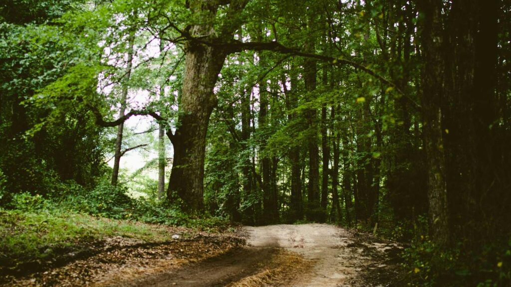 格安SIM 比較 データ容量別 3GB程度のデータ容量に最適なプランは？