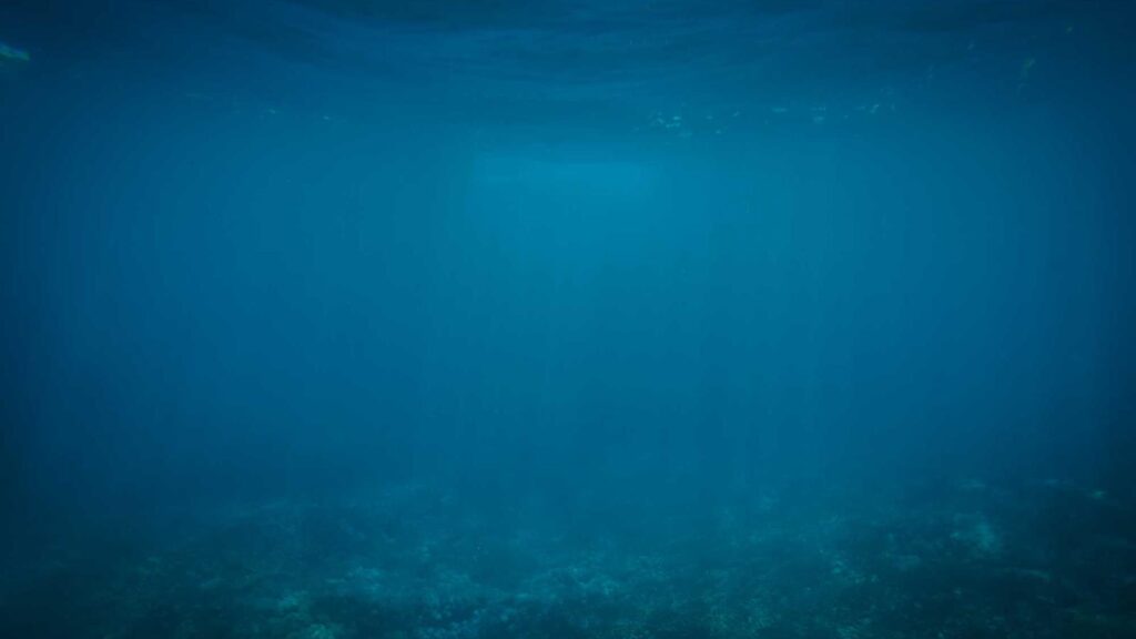 潮見駅 居酒屋 団欒 炎 潮見店：全国各地の地酒と創作料理を堪能