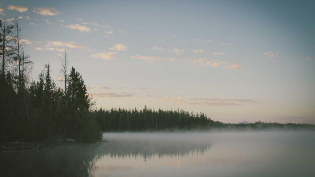銀座 ランチ 高級 まとめ