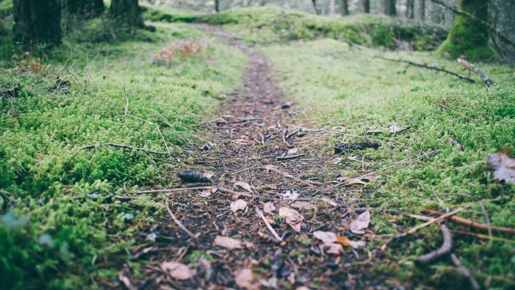 表参道 カフェ 静か 6. Urth Caffé 表参道