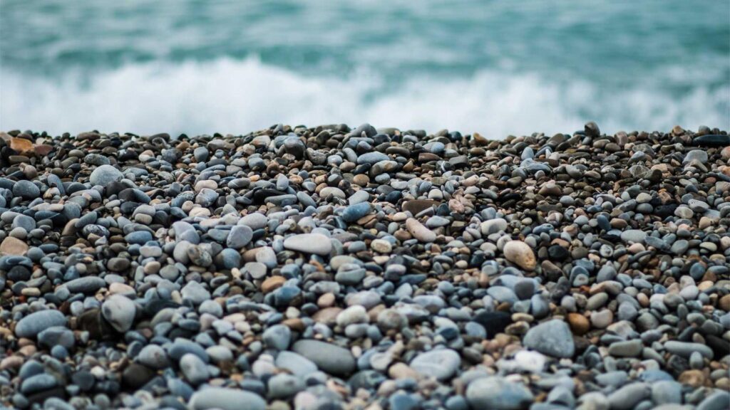 一之江駅 ラーメン 味噌一 一之江店