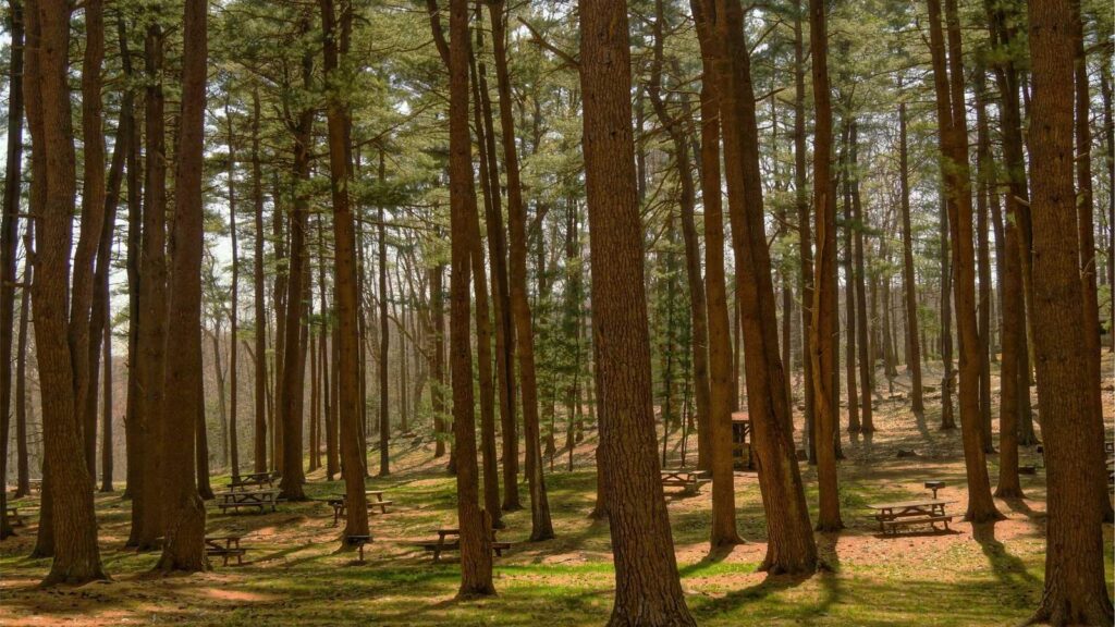 牛田駅 焼肉 大国ホルモン 北千住駅東口店