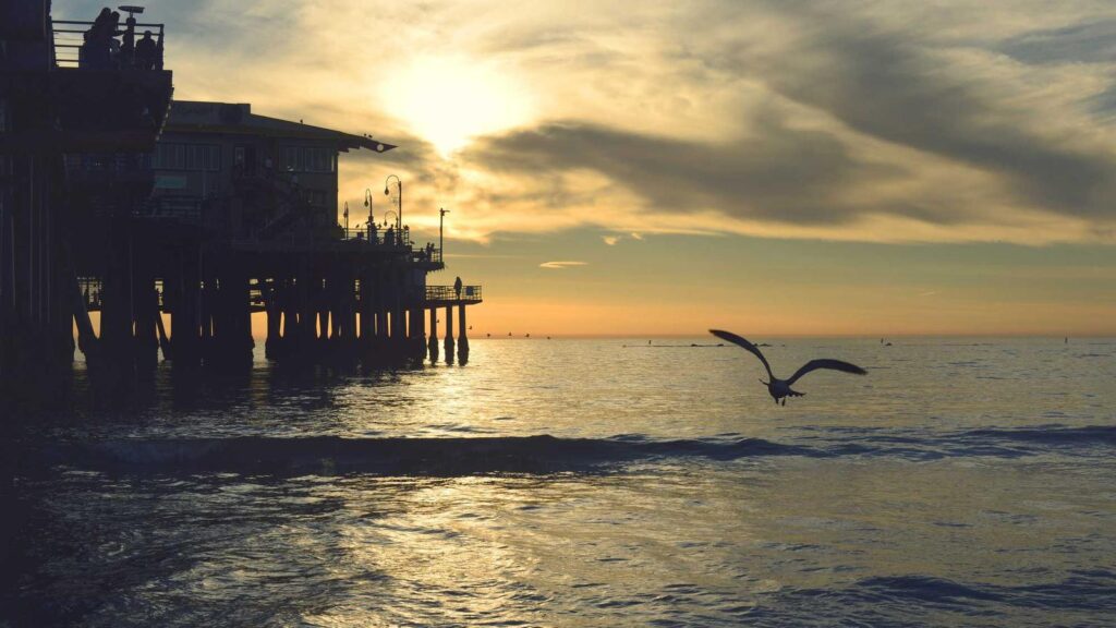 美容家電 おすすめ ランキング 美容家電のメリットとデメリットは？