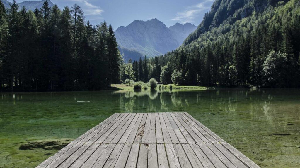 井の頭公園駅 ラーメン Tombo（トンボ）