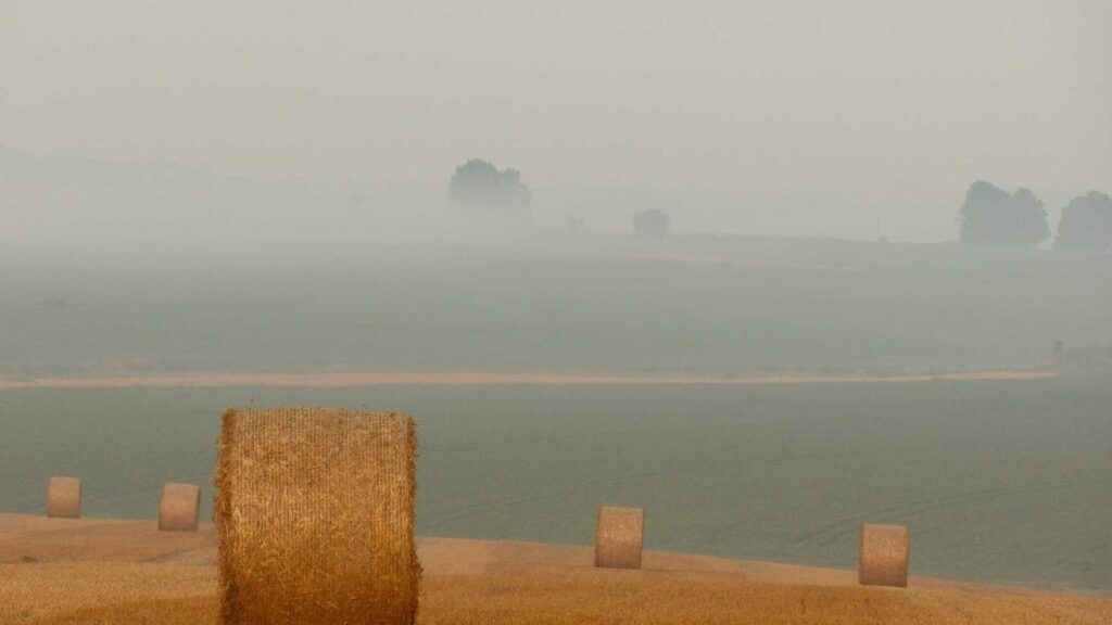 格安SIM 比較 速度 通信速度が速い格安SIMの特徴は何ですか？