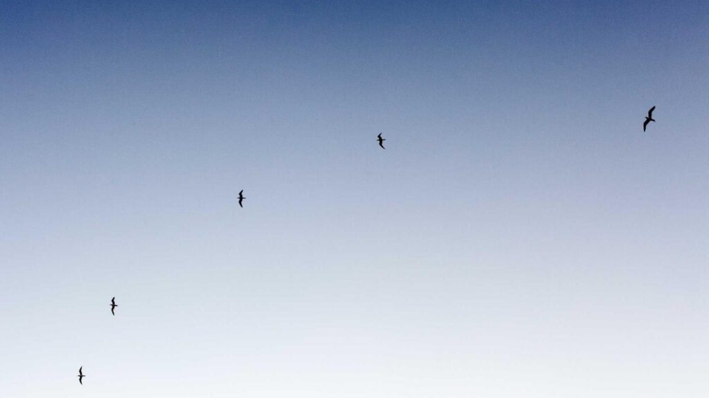 霞ケ関駅 居酒屋 7. 居酒屋「花火」