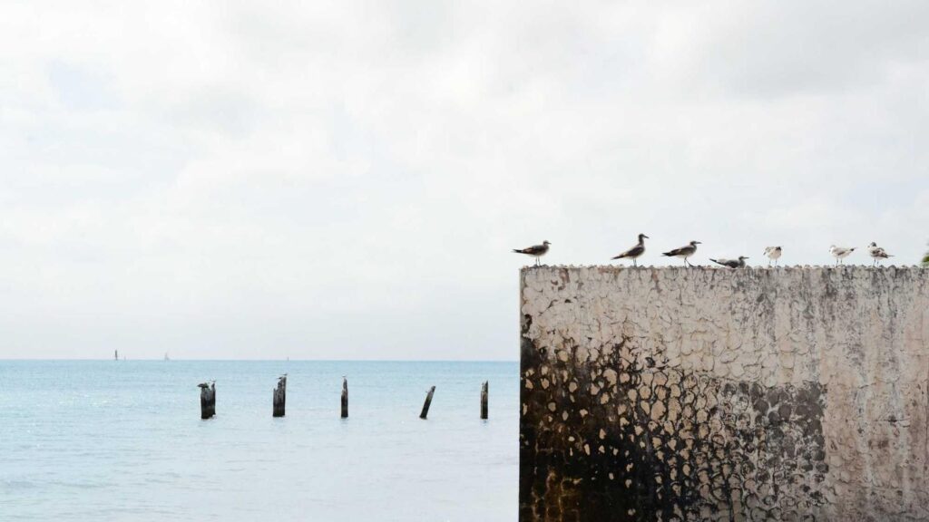 美容家電 おすすめ ドライヤー 軽量で持ち運びに便利なドライヤーは？