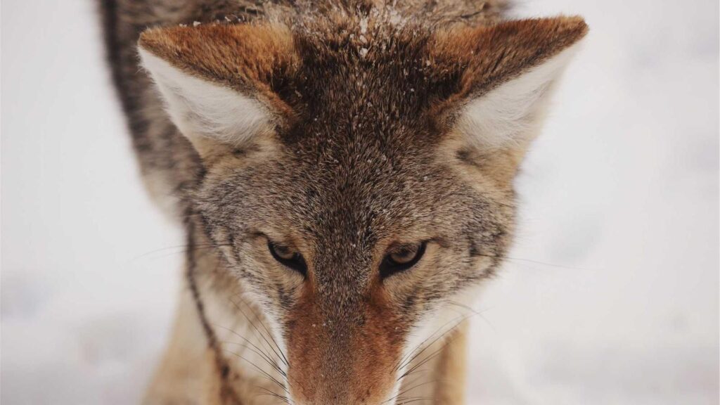 松原駅 ランチ 桜珈琲 松原店