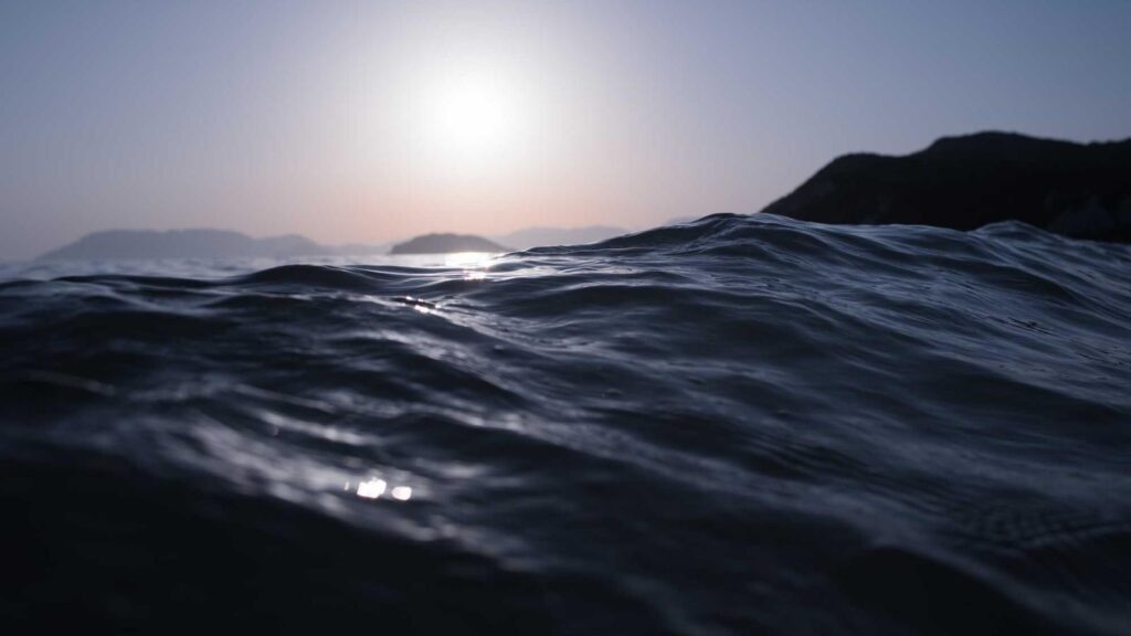 梅ケ丘駅 焼肉 居酒屋 しみ亭