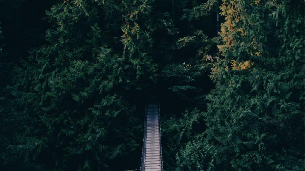 表参道 カフェ 静か 3. shozo coffee store