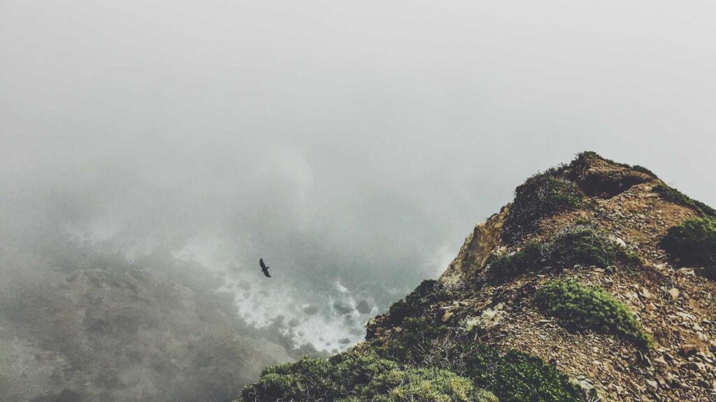 稲城駅 ラーメン 稲城駅ラーメンを選ぶ際のポイント