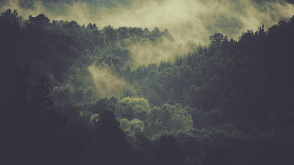 格安SIM 比較 おすすめ 格安SIMへの乗り換え手続きは難しいですか？