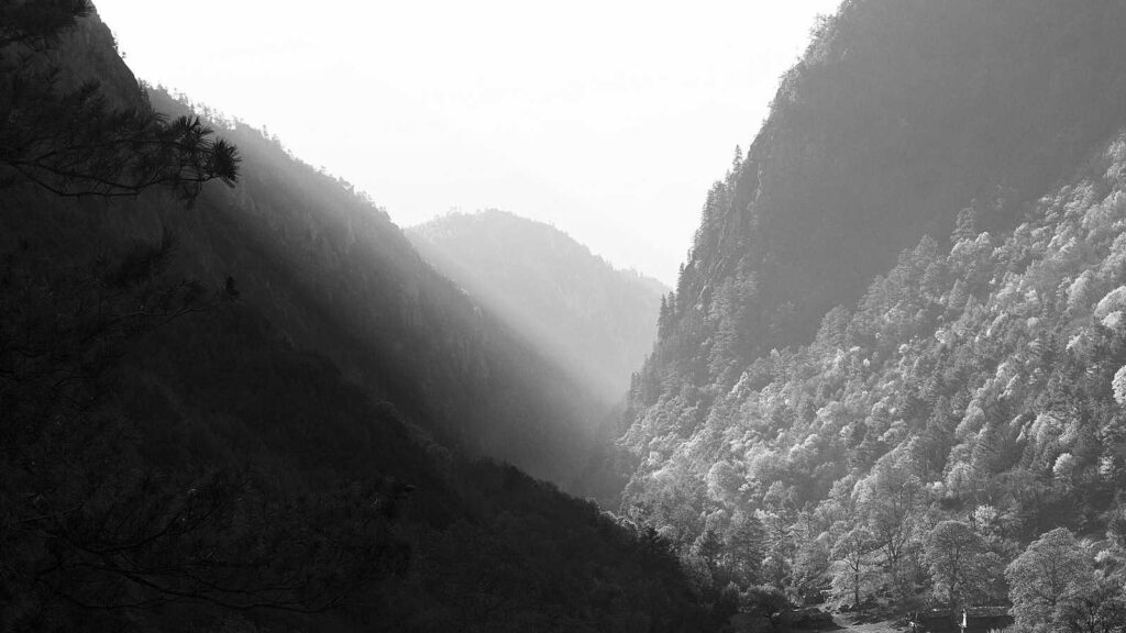 牛込神楽坂駅 焼肉 焼肉 しんうち 神楽坂