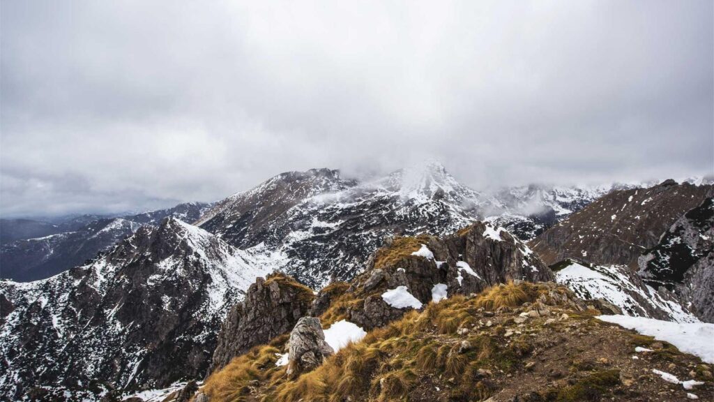 尾山台駅 ラーメン 尾山台駅周辺のラーメン店の特徴