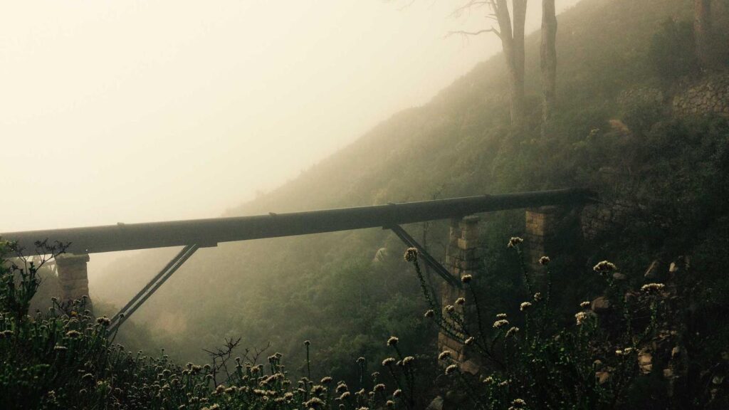 流通センター駅 ランチ 包丁切りそば みとう庵