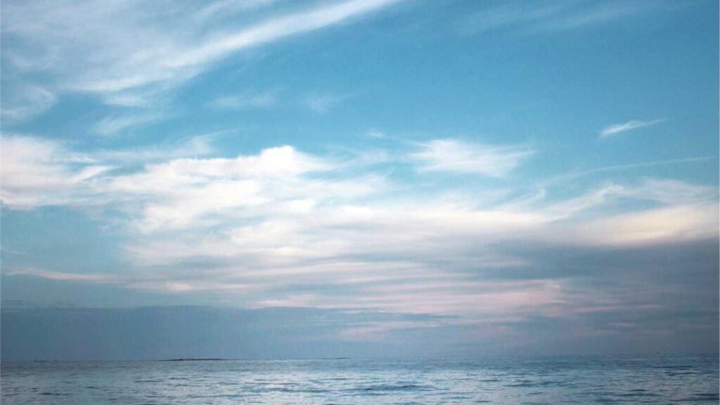 牛田駅 焼肉 まとめ