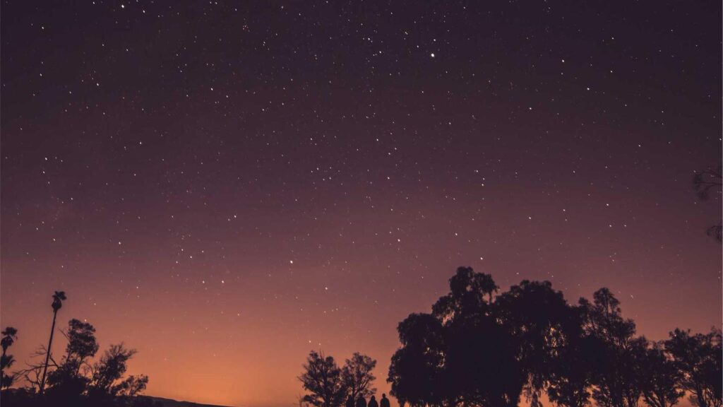 上野御徒町駅 焼肉 シュラスコレストラン ALEGRIA ueno