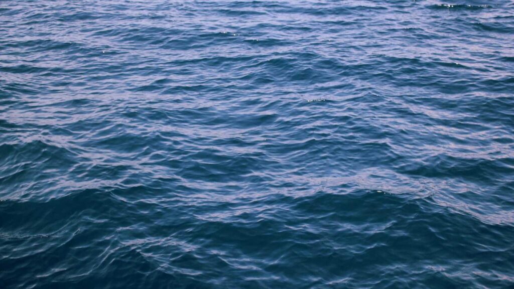 芦花公園駅 ランチ ワタリガラス：ラーメンと寿司の融合