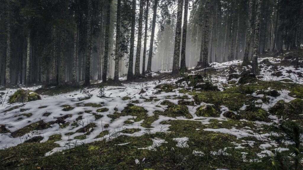 ドライヤー おすすめ ドライヤーのメンテナンス方法