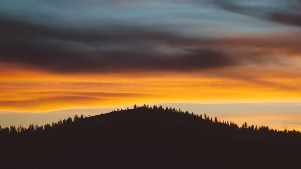 舎人駅 カフェ カフェ選びのポイント