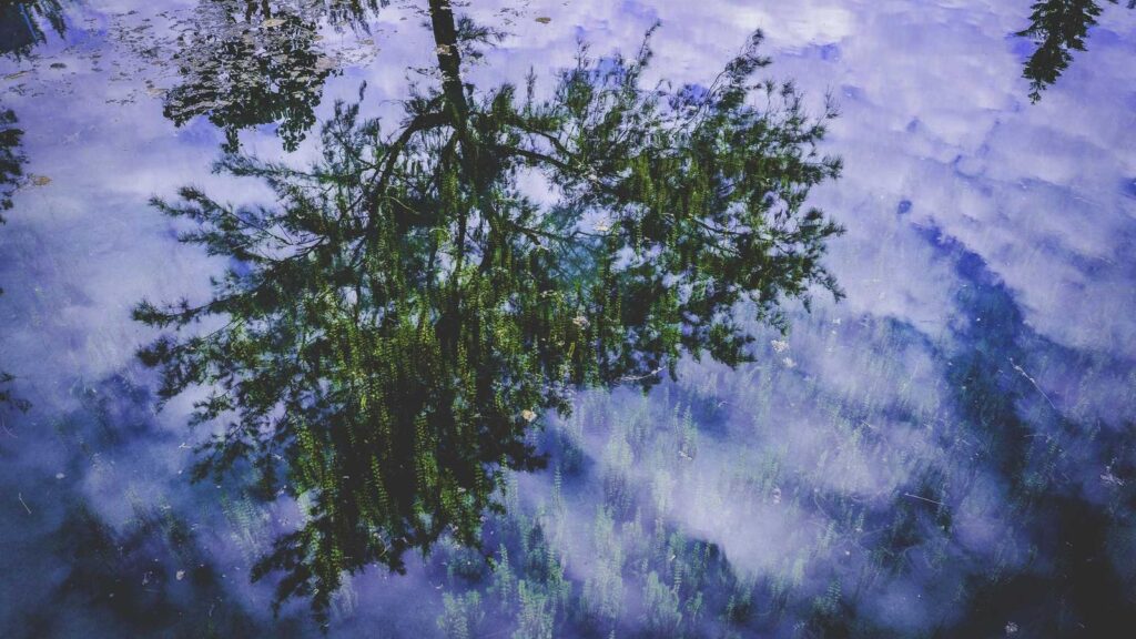 万願寺駅 ランチ まとめ