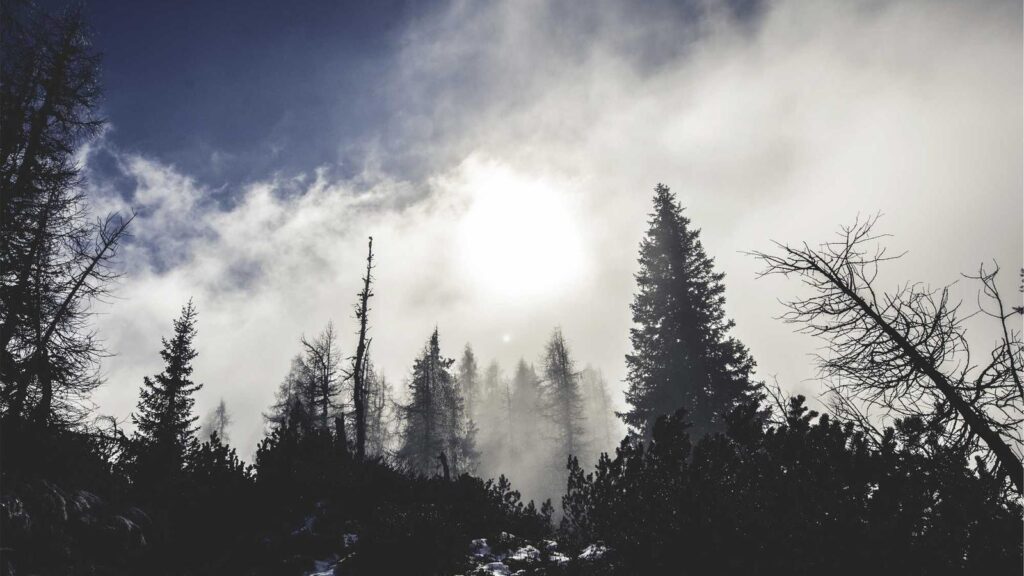 吉祥寺 カフェ おしゃれ ミカフェート：世界各地の厳選豆を堪能