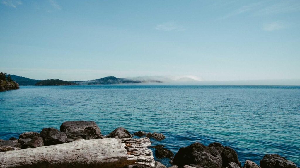 三河島駅 ランチ 日高屋 三河島駅前店