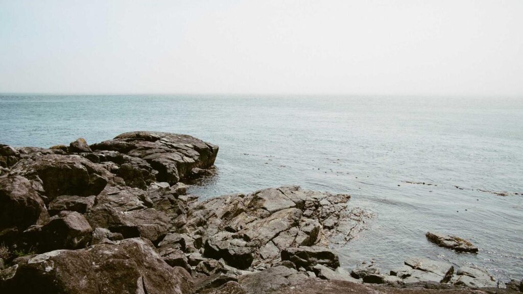 中野新橋駅 カフェ 用途別で選ぶ中野新橋駅周辺のカフェ
