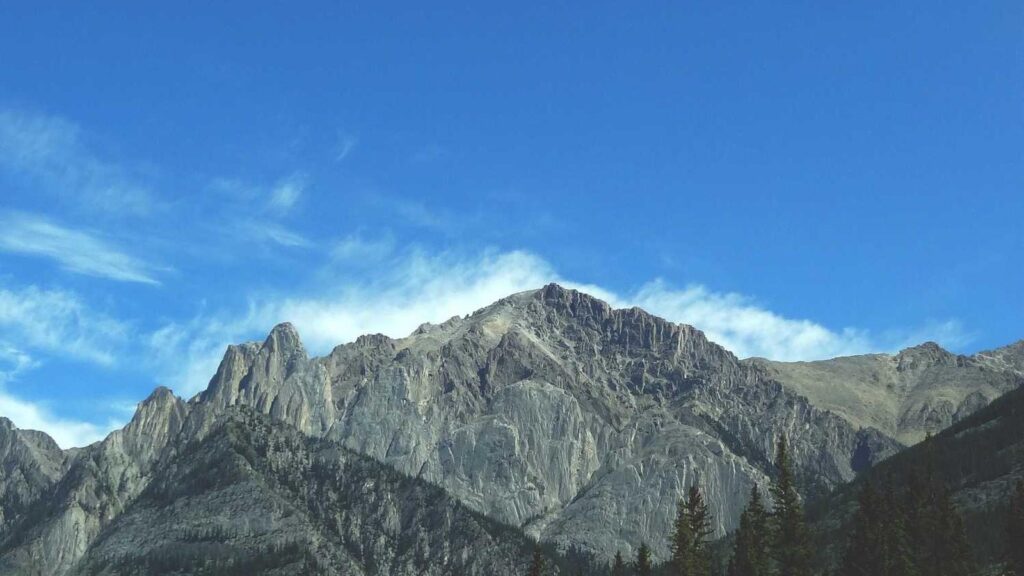 牛浜駅 ラーメン 五ノ神精肉店