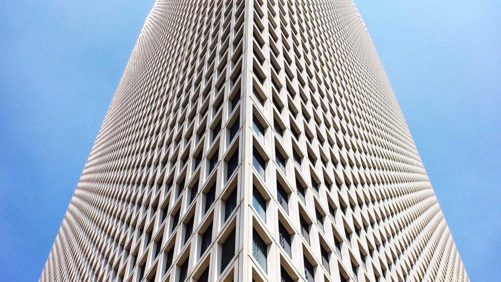 金町駅 ラーメン 2. 中華そば しば田