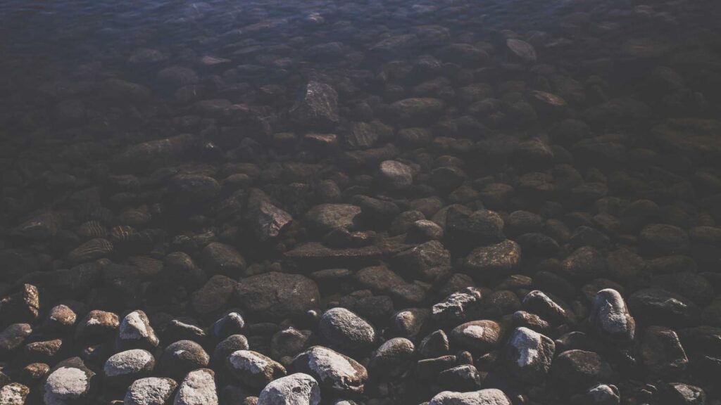 鶯谷駅 焼肉 鶯谷駅周辺で焼肉店を選ぶポイント