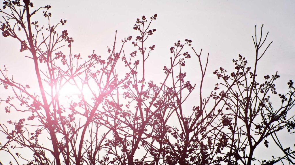 六本木一丁目駅 ランチ まとめ