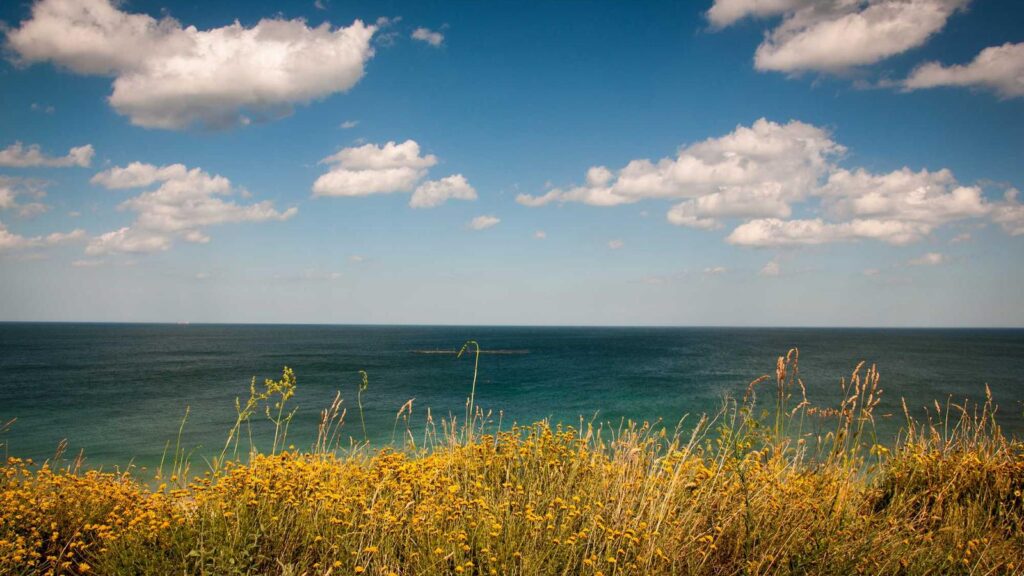 美容家電 おすすめ 30代 美容家電を選ぶ際のポイントは？